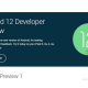 Android 12 Developer Preview