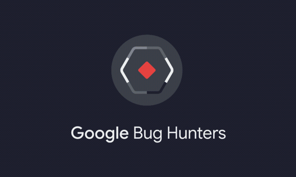 google bug hunters
