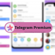 Telegram Premium (3)
