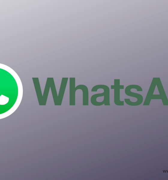 WhatsApp (1)