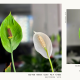 Samsung One UI 8 introduces a new photo watermark feature