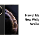 Huawei Mate XTs